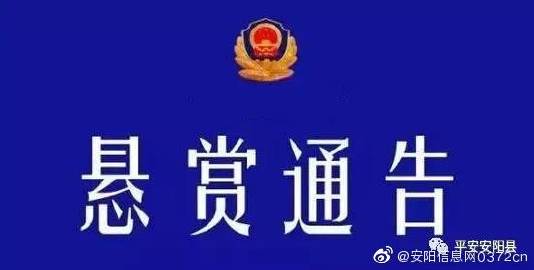 武安吧最新消息全面解读